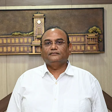 Shri Hemant Patel